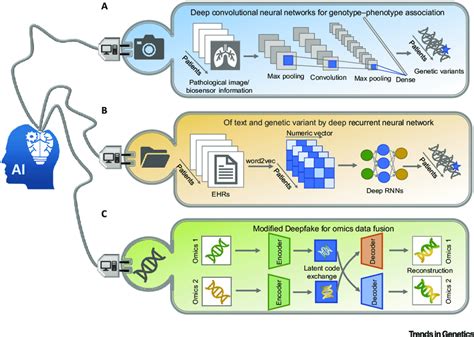 Xrare: Disease Variant Prioritization via Machine Learning.